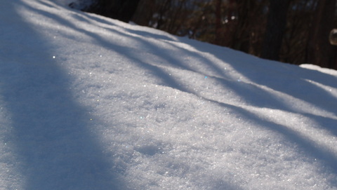 e0024081_2013917.jpg