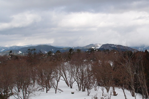 e0024081_20143288.jpg