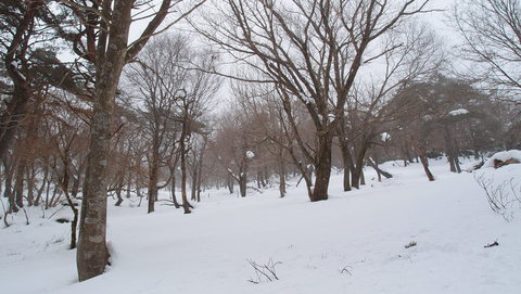 e0024081_20181940.jpg