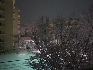 雪_a0138490_232898.jpg