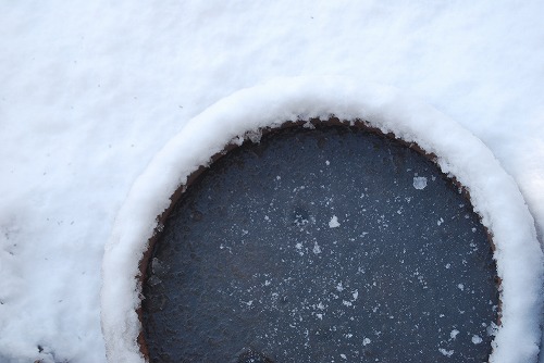 雪の 1月の庭…_c0124100_2353649.jpg