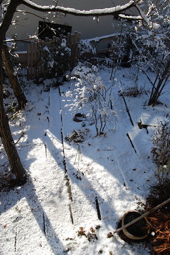 雪の 1月の庭…_c0124100_23541182.jpg