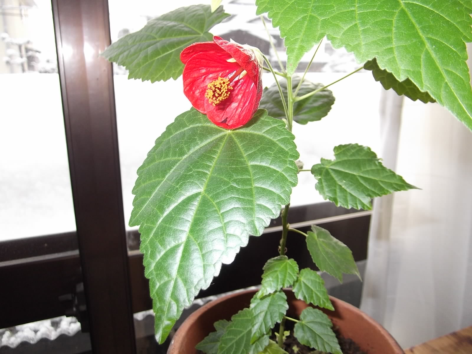 a0203003_14544564.jpg
