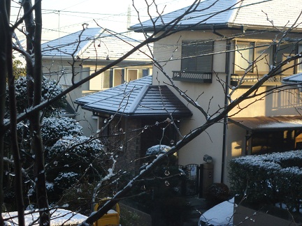 e0141203_83325100.jpg