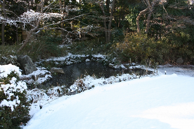 雪景色_b0049307_14211185.jpg