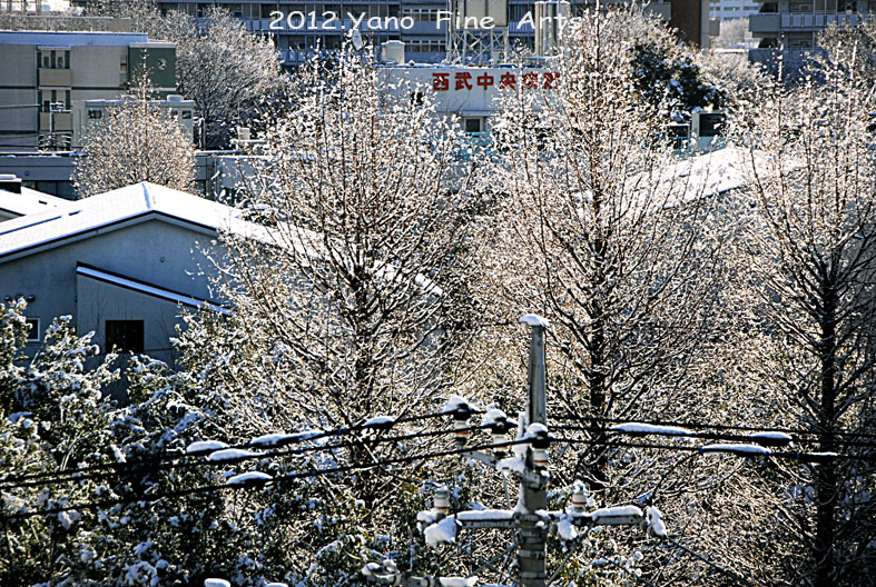 b0147808_18214050.jpg