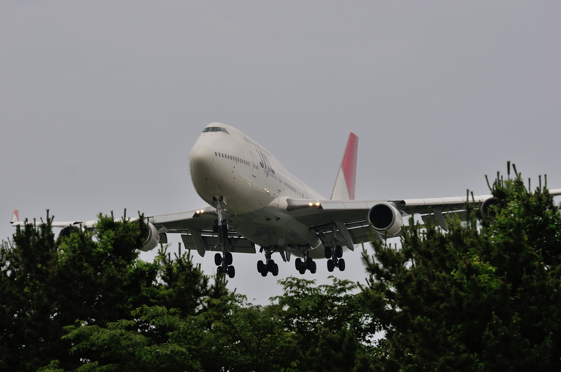 BOEING 747-400 / JA8085 - JALジャンボ in 仙台 (到着) - : SKY