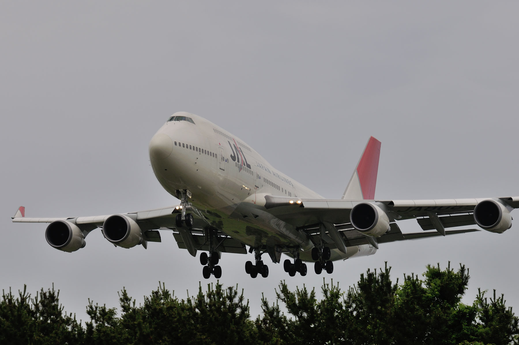 BOEING 747-400 / JA8085 - JALジャンボ in 仙台 (到着) - : SKY
