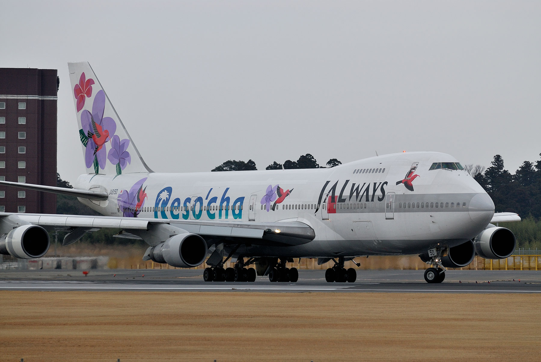 BOEING 747-200B / JA8150 - Reso`cha - : SKY LOUNGE GARDEN BOEING 747-200B / JA8150 - Reso`cha - : SKY LOUNGE GARDEN