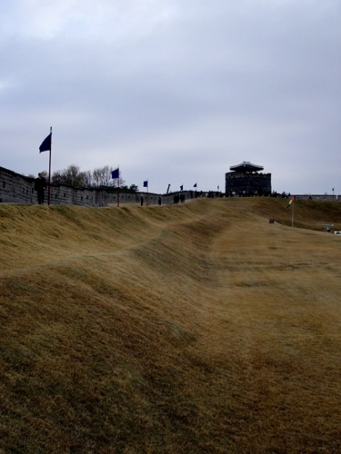 f0060310_7262145.jpg
