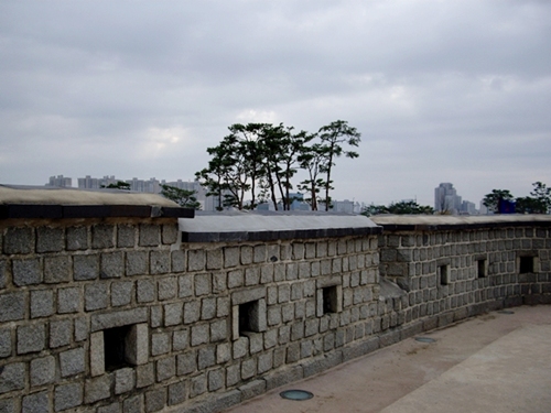 f0060310_7322810.jpg