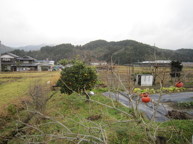 b0174913_14364282.jpg