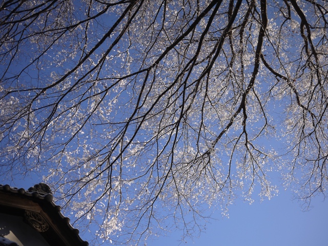 f0169215_10113056.jpg
