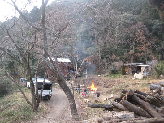 子育て終了&森の作業。_a0125419_11133474.jpg