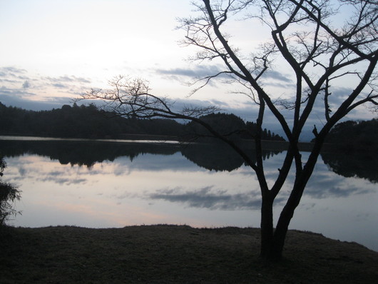 日田~豊後大野~阿蘇へ~☆_a0125419_11363741.jpg