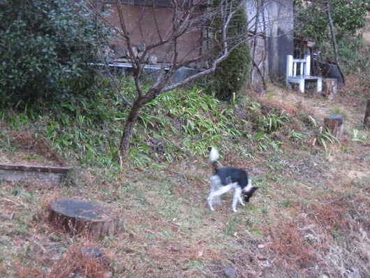 湯布院～安心院～日田へ~☆_a0125419_919587.jpg