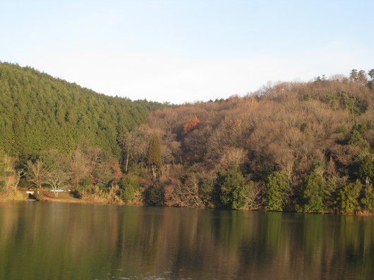 greengreenvillage日田にて、_a0125419_93241.jpg
