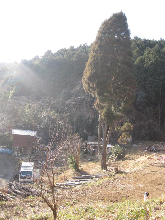 greengreenvillage日田にて、_a0125419_9483680.jpg