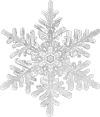 b0206521_134999.png