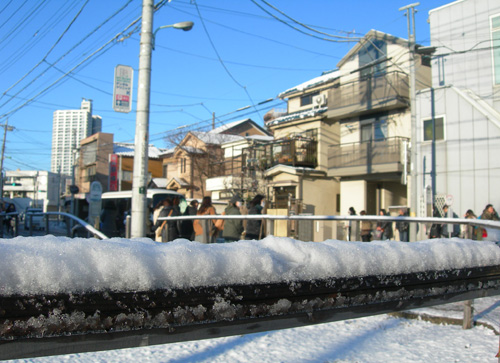 雪降る朝の風景　きらきら～_f0029921_2133442.jpg