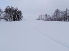 f0022024_044684.jpg