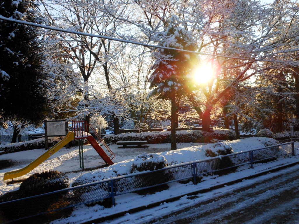 老育 この冬初めての 雪かき_c0155326_1631553.jpg