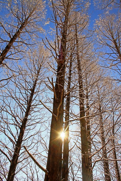 c0104227_17464514.jpg