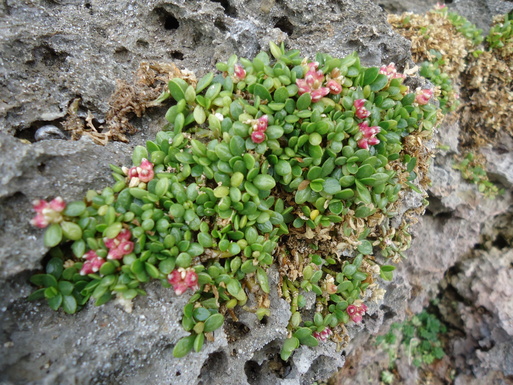 d0225727_847296.jpg