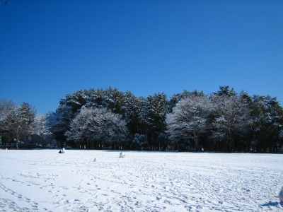 つくばの雪景色_b0100229_13115223.jpg