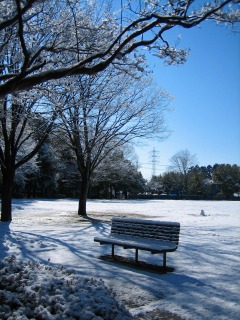 つくばの雪景色_b0100229_13153092.jpg