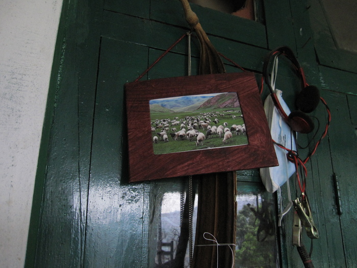 なつかしきGREEN HOUSEの思い出_e0155231_23441332.jpg