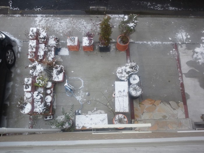 雪は溶けても_a0019032_1393370.jpg