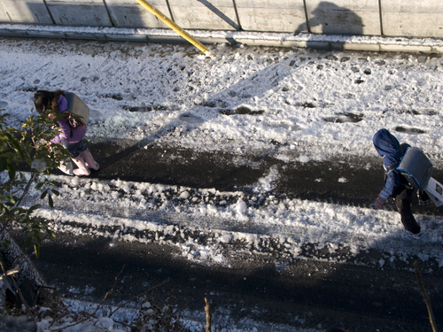 東京に雪が積もった朝_d0045432_10591752.jpg