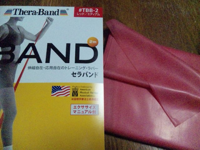 BAND_d0111435_1954322.jpg