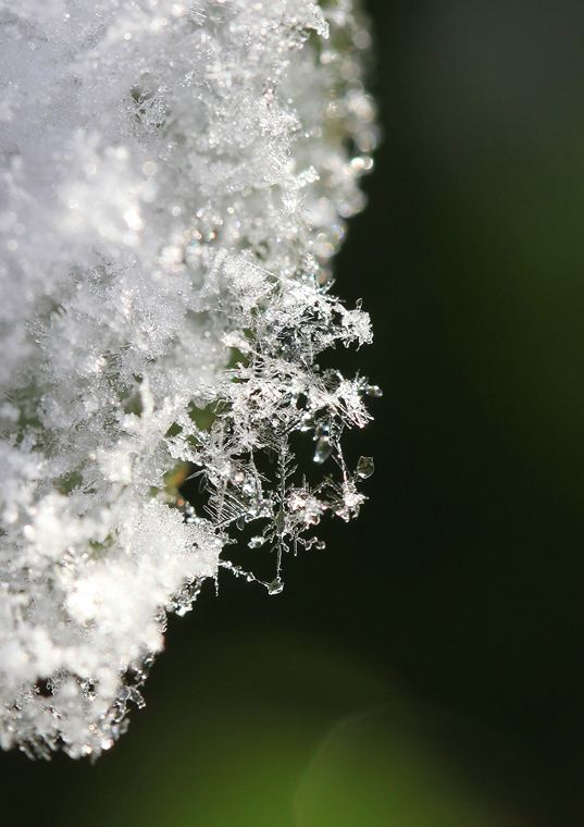 雪の結晶_e0008237_1625322.jpg