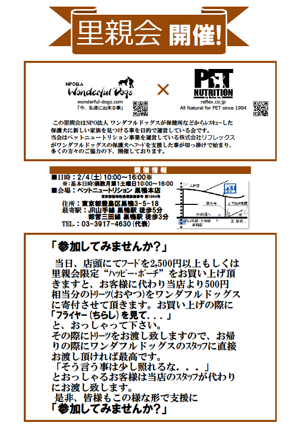 c0218443_16104895.png