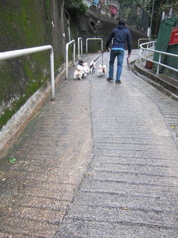 e0018143_0384198.jpg