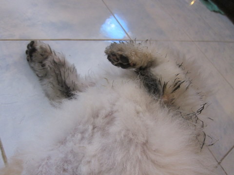 e0018143_0412441.jpg