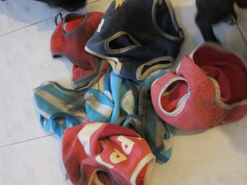 e0018143_0422067.jpg