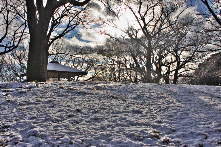 積雪　舞岡公園_d0029744_1512118.jpg