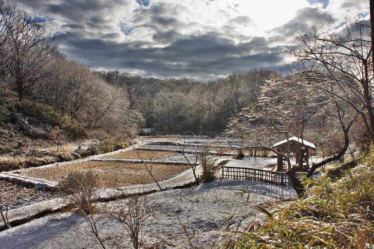 積雪　舞岡公園_d0029744_15133468.jpg