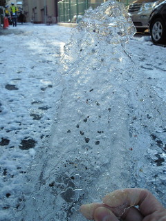 気をつけて! Part2_d0035245_15142665.jpg