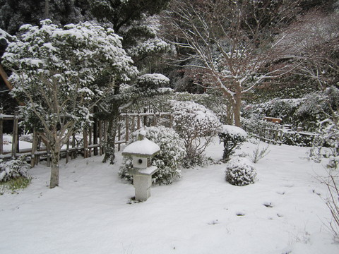 さむーい１日　朝から雪が降り積もりました。_b0132746_22294938.jpg