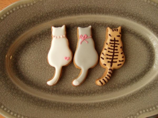 1月のアイシングクッキー_e0160246_86738.jpg