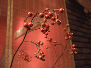 b0186148_10464091.gif