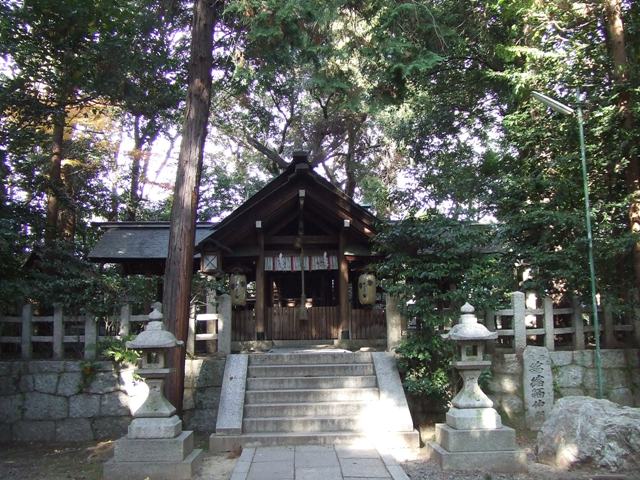 e0046748_17593749.jpg