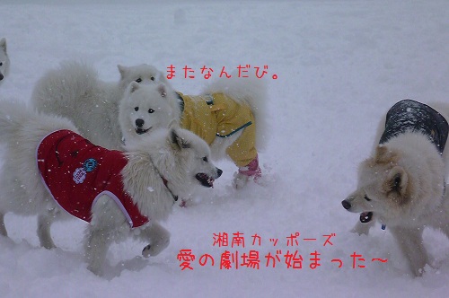 ◆夢の雪中オフ・えぴそーど①◆_a0166954_0141044.jpg