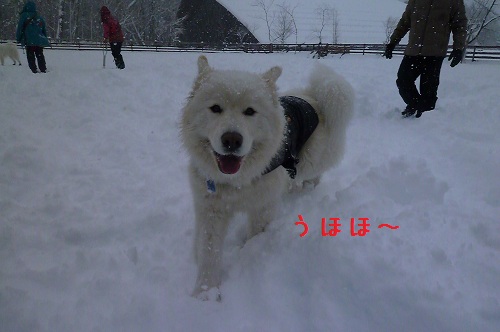 ◆夢の雪中オフ・えぴそーど①◆_a0166954_03229.jpg