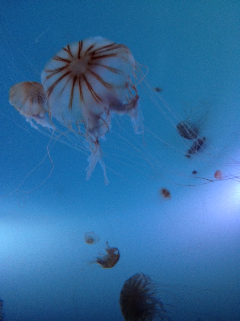 c0212158_154039.jpg