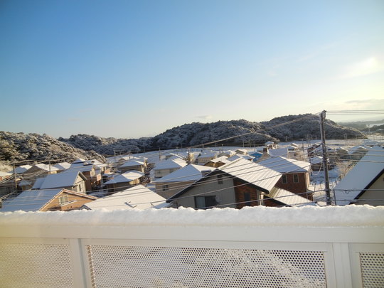 １月２４日（火）勝浦にも雪が降ったよ～！_f0060461_1014111.jpg